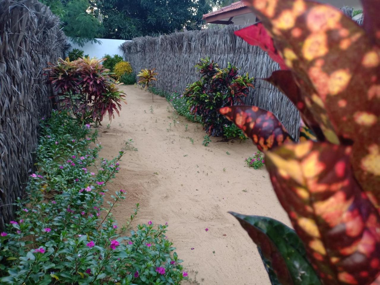 Sunset Safari & Resort Kalpitiya Ngoại thất bức ảnh